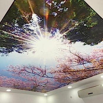 Gergi Tavan Dijital Baskı Projeleri